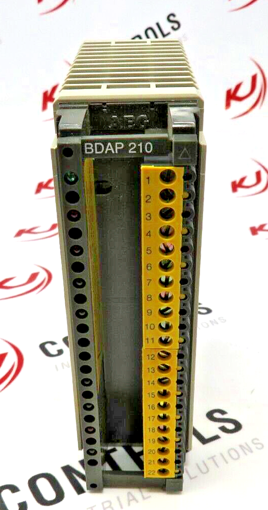 Schneider Electric Modicon AEG AS-BDAP-210 Digital Output Module