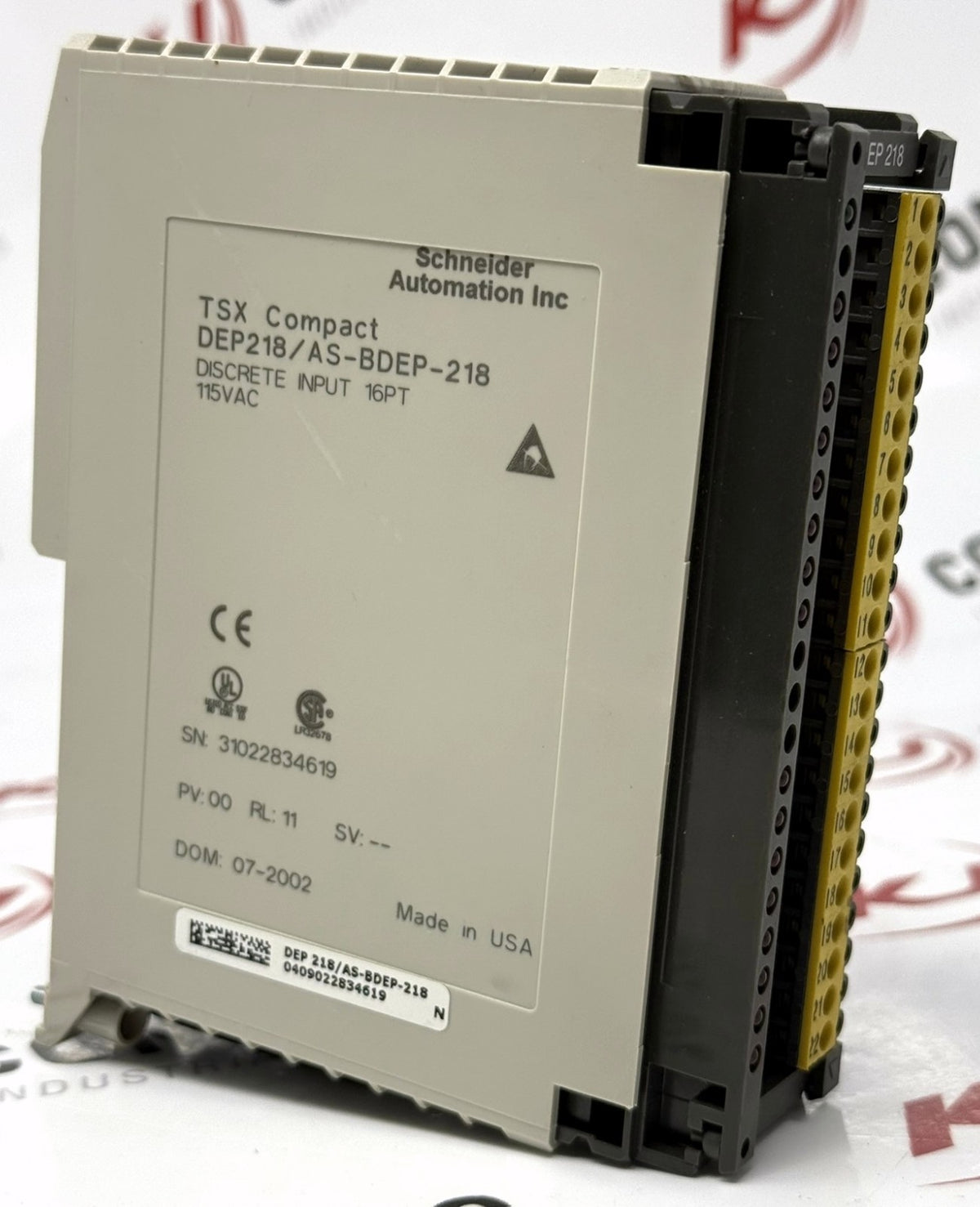 Schneider Automation DEP218 AS-BDEP-218 16-Point 115VAC Input Module0