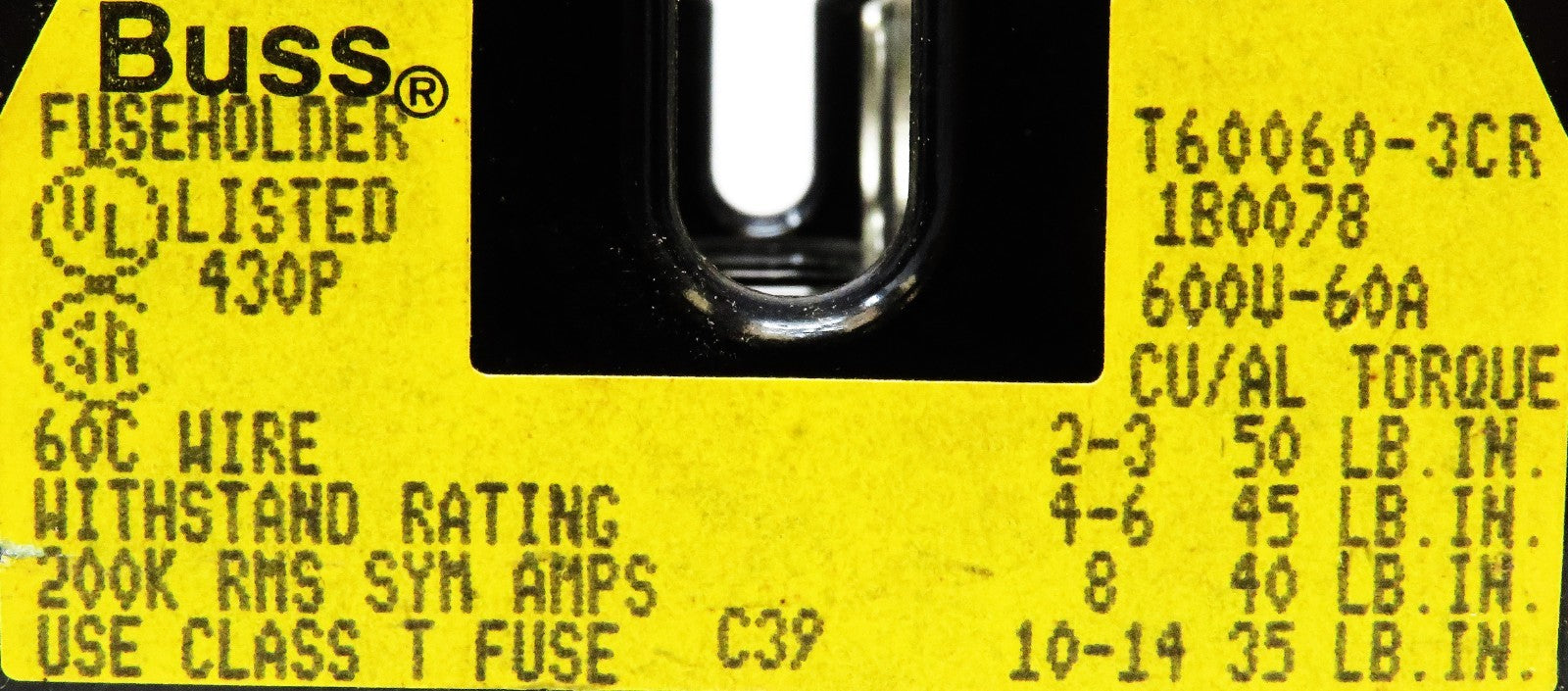 45669081